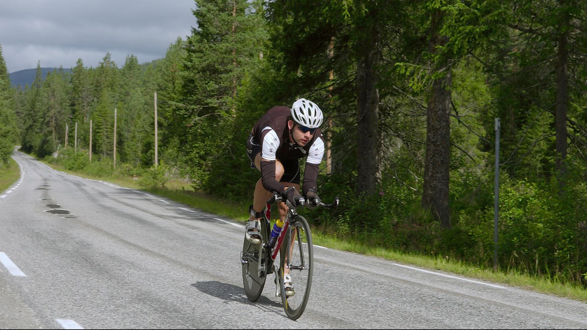 东方鏖战记，当斑马军团遇上小蜘蛛的魔法